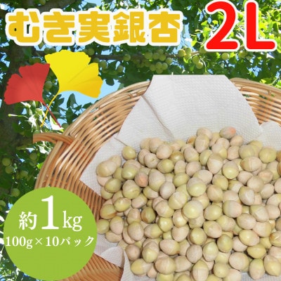 山形県山辺町産　むき実銀杏 (ぎんなん)【2L】 約1kg(100g×10パック)