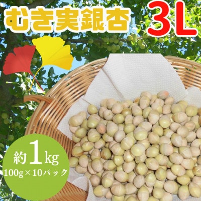 山形県山辺町産　むき実銀杏 (ぎんなん)【3L】 約1kg(100g×10パック)
