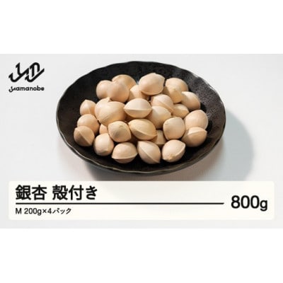 【先行受付】殻付き銀杏 (ぎんなん)【M】 約800g(200g×4パック)