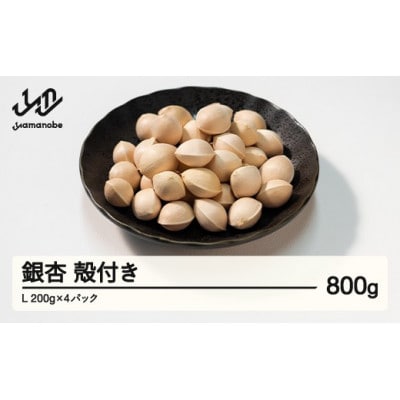 【先行受付】殻付き銀杏 (ぎんなん)【L】 約800g(200g×4パック)