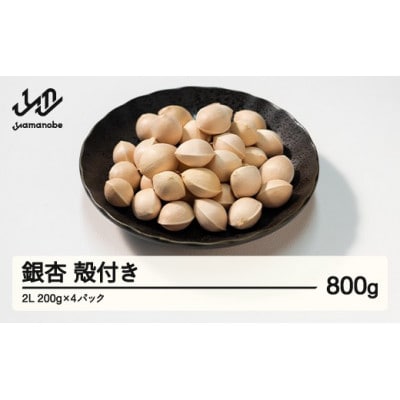 【先行受付】殻付き銀杏 (ぎんなん)【2L】 約800g(200g×4パック)