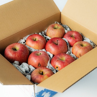 訳あり 2025年産　生産者支援 サンふじ りんご 3kg (8玉～16玉)