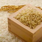 2025年産 令和7年産 山形県産 つや姫 玄米 30kg