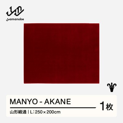 【山形緞通】MANYO - AKANE (L)