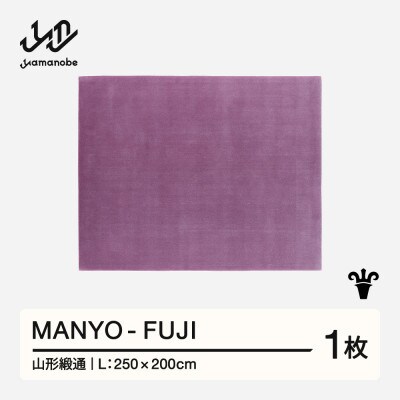 【山形緞通】MANYO - FUJI (L)