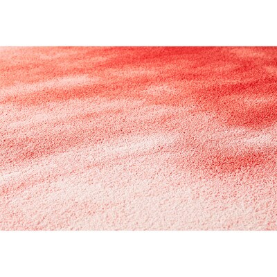 【山形緞通×小林幹也】TOCHI - Red (M)
