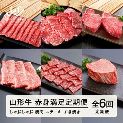 【毎月定期便】山形牛赤身満足定期便 しゃぶしゃぶ 焼肉 ステーキ すき焼き tc-tkygn6全6回