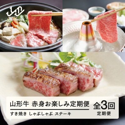 【毎月定期便】赤身お楽しみ定期便 ロース ヒレ 赤身 tc-tkygn3全3回