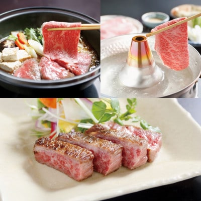 【毎月定期便】赤身お楽しみ定期便 ロース ヒレ 赤身 tc-tkygn3全3回