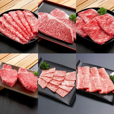 【毎月定期便】山形牛満足定期便(ロース・しゃぶしゃぶ・すき焼き・ステーキ) tc-tkygx6全6回