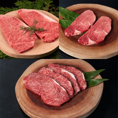 【毎月定期便】山形牛ステーキお楽しみ定期便(サーロイン・ヒレ・ランプ) tc-tkygt3全3回