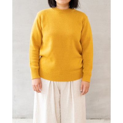 A1 : A SWEATER IS ORDINARY. ブラウン サイズ:4 ユニセックス 米富繊維