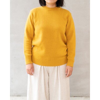 A1 : A SWEATER IS ORDINARY. ブラウン サイズ:2 ユニセックス 米富繊維
