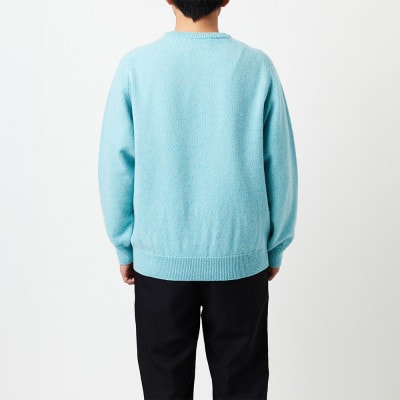 A4: A SWEATER IS COLOR.  水色 サイズ1
