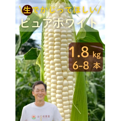 【先行予約2026年産】ピュアホワイト1.8kg(6-8本)【白とうもろこし/ホワイトコーン】