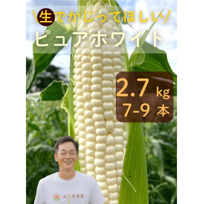 【先行予約2026年産】ピュアホワイト2.7kg(7-9本)【白とうもろこし/ホワイトコーン】