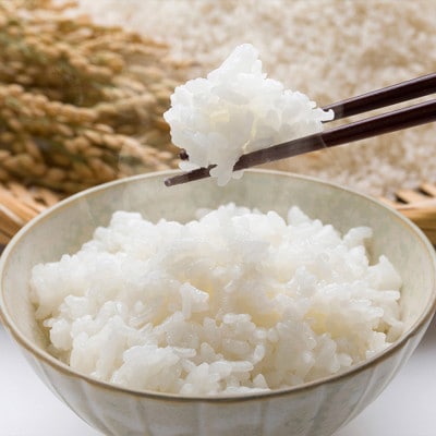 【令和6年産】雪若丸 精米 5kg 山形県産 tf-ywsxb5