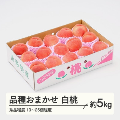 白桃 品種おまかせ 秀品程度 約5kg(10～25個程度) 山形県産 tf-moyws5