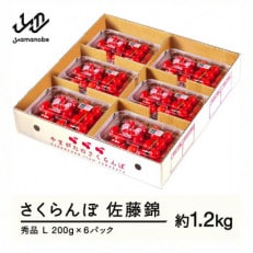 先行予約 さくらんぼ 佐藤錦 秀品 L 約1.2kg 令和7年産 山形県産 tf-snpsl1200