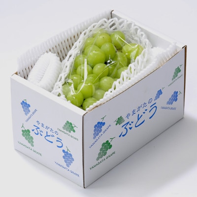 シャインマスカット 秀品 約700g(1～2房) 山形県産 tf-busmx700