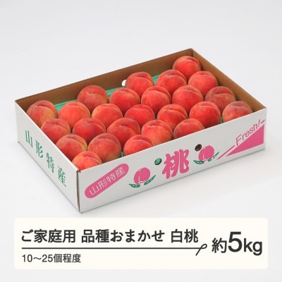 白桃 品種おまかせ ご家庭用 約5kg(10～25個程度) 山形県産 tf-moywm5