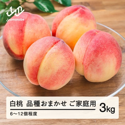 R8年産 白桃 品種おまかせ ご家庭用 約3kg(6～12個程度)  山形県産 tf-moywm3