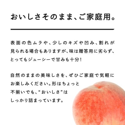 R8年産 白桃 品種おまかせ ご家庭用 約3kg(6～12個程度)  山形県産 tf-moywm3