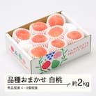 R8年産 白桃 品種おまかせ 秀品程度 約2kg(4～9個程度) 山形県産 tf-moyws2