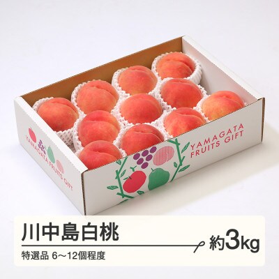 川中島白桃 特選品 約3kg(6～12個程度) 山形県産 tf-moknt3