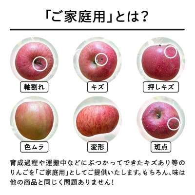 先行予約 りんご サンふじ ご家庭用 約5kg 山形県産 tf-risfm5
