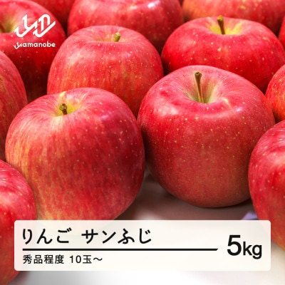 先行予約 りんご サンふじ 秀品程度 約5kg(10～20個程度) 山形県産 tf-risfs5