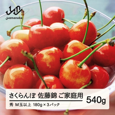 【先行予約】ご家庭用 佐藤錦 秀品M玉以上 約540g 令和8年産 tf-snpsm540