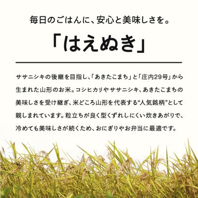 【2025年11月中旬～11月下旬頃に発送】はえぬき 精米 5kg tf-hasxb5-11s