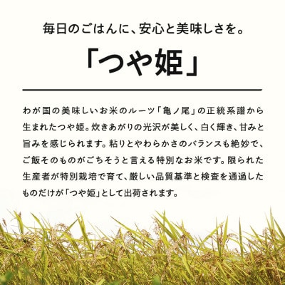 【2025年10月中旬～10月下旬頃に発送】 つや姫 精米 10kg tf-tssxb10-10s
