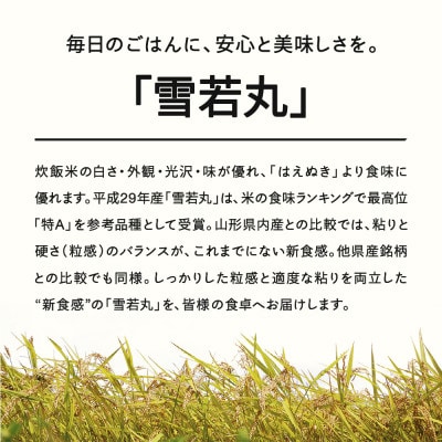 新米【2025年11月中旬～11月下旬頃に発送】雪若丸 精米5kg tf-ywsxb5-11s