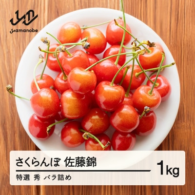 【先行予約】さくらんぼ 特選 佐藤錦 秀品 約1kg 令和8年産 tf-snbsl1000