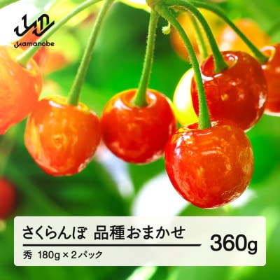 【先行予約】さくらんぼ 品種おまかせ 秀品 約360g 令和8年産 tf-saos360