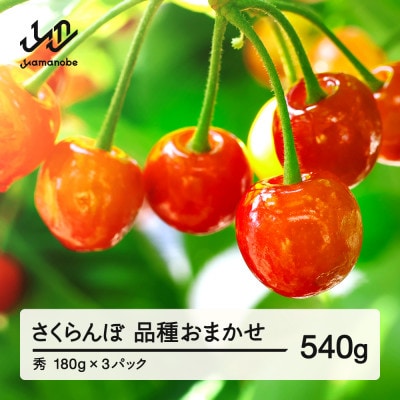 【先行予約】さくらんぼ 品種おまかせ 秀品 約540g 令和8年産 tf-saos540
