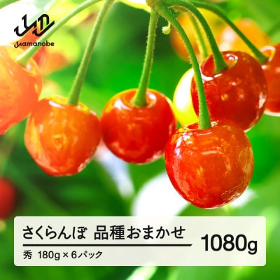 【先行予約】さくらんぼ 品種おまかせ 秀品 約1080g 令和8年産 tf-saos1080