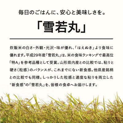 新米【2025年12月中旬～12月下旬頃に発送】雪若丸 精米 10kg tf-ywsxb10-12s