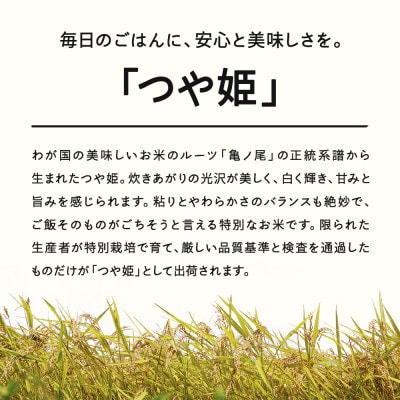 新米【2025年12月上旬～12月中旬頃に発送】 つや姫 精米10kg tf-tssxb10-12f