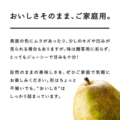 先行予約 ラ・フランス ○秀品 約3kg(6～12個程度) ご家庭用 山形県産 tf-lamxx3