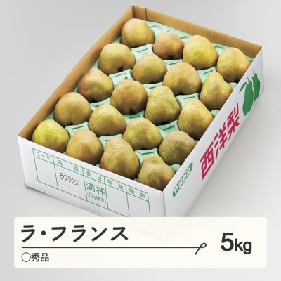 先行予約 ラ・フランス ○秀品 ご家庭用 約5kg(12～20個程度) 山形県産 tf-lamxx5