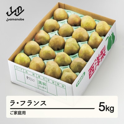先行予約 ラ・フランス ○秀品 ご家庭用 約5kg(12～20個程度) 山形県産 tf-lamxx5