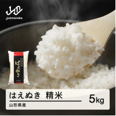 【2026年4月上旬～4月中旬頃に発送予定】はえぬき 精米 5kg tf-hasxb5-4f