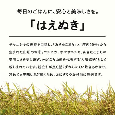【2027年4月中旬～4月下旬頃発送予定】はえぬき 無洗米 15kg tf-hamxb15-4s