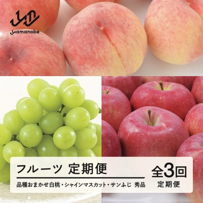 【発送月固定定期便】フルーツ定期便 白桃 シャインマスカット サンふじ tf-ft3hbr全3回