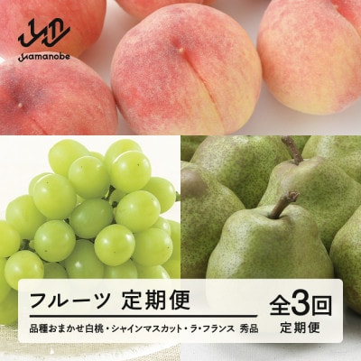 【発送月固定定期便】フルーツ定期便 白桃 シャインマスカット ラ・フランス tf-ft3hbl全3回