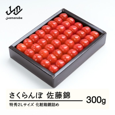 《先行予約》さくらんぼ 佐藤錦 特秀2Lサイズ プレゼント ギフト 化粧箱入 300g