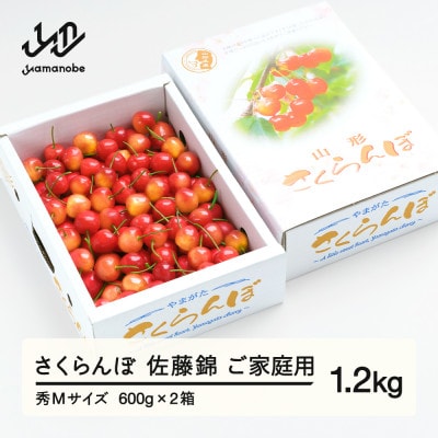 《先行予約》さくらんぼ 佐藤錦 秀Mサイズ ご家庭用 バラ詰め 1.2kg(600g×2箱)